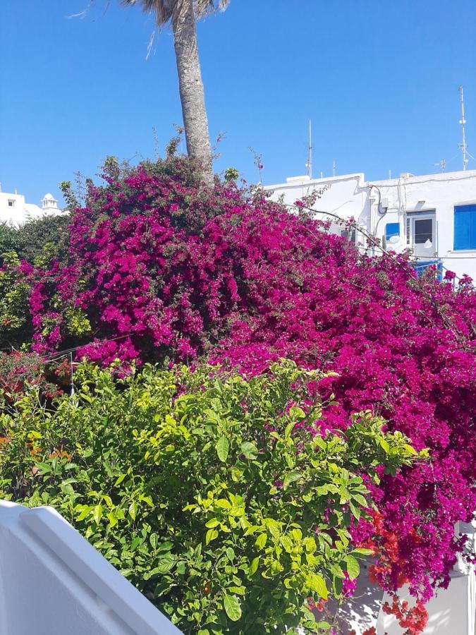 Sole Mykonos Appartement Mykonos Town